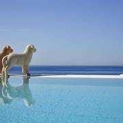 Royal Myconian Resort and Thalasso Spa Elia Beach Mykonos