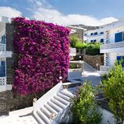 Alkistis Hotel Agios Stefanos Mykonos