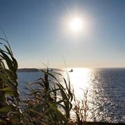 Archipelagos Resort & Villas Agia Irini Paros