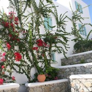 Villa Meliti Platis Yialos Mykonos