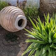 Melangel citta Mykonos