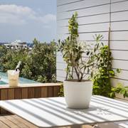 Mykonos Dove Beachfront Hotel Platis Yialos