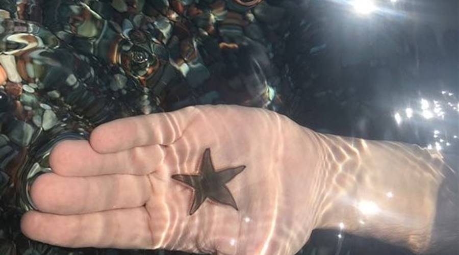 Spiaggia di Gennadi Rodi