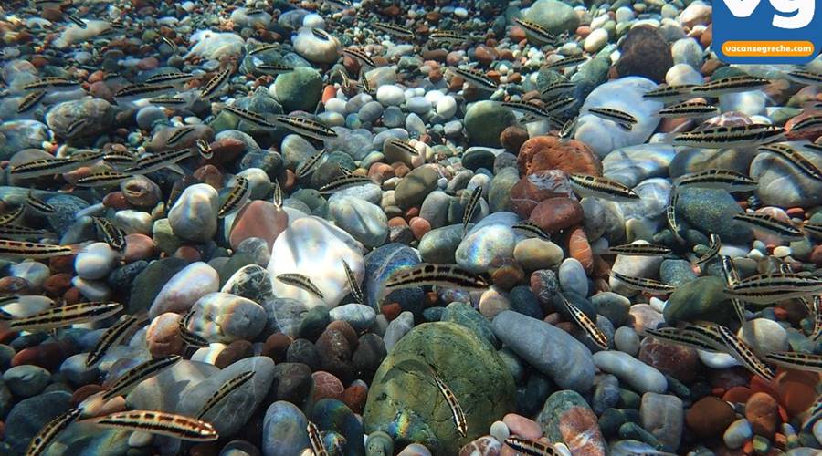 Spiaggia di Gennadi Rodi