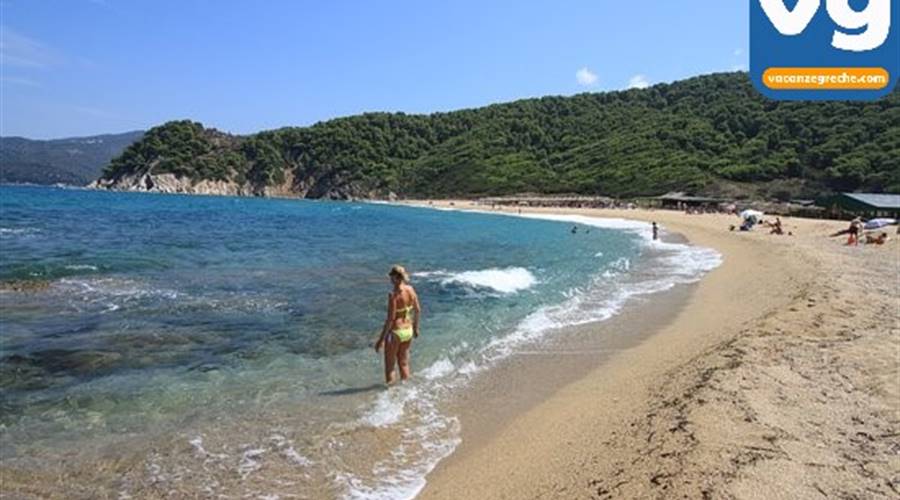 Spiaggia di Aselinos Skiathos