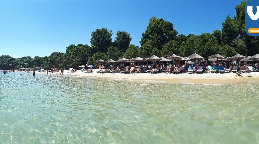 Spiaggia di Koukounaries Skiathos