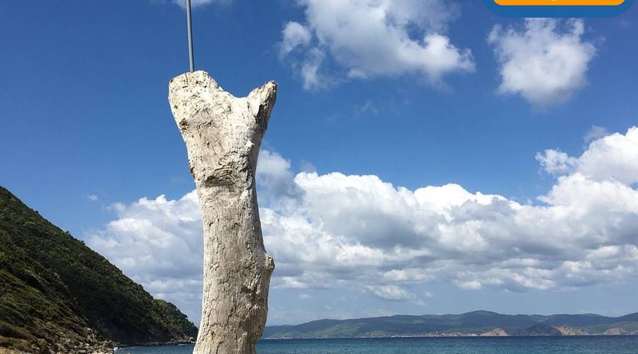 Spiaggia di Ligaries Skiathos