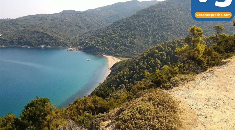Spiaggia di Ligaries Skiathos