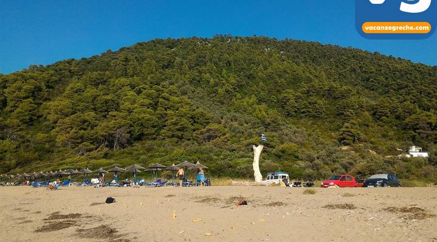 Spiaggia di Ligaries Skiathos