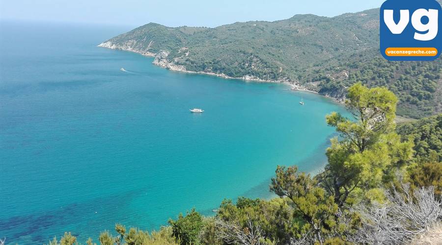 Spiaggia di Ligaries Skiathos