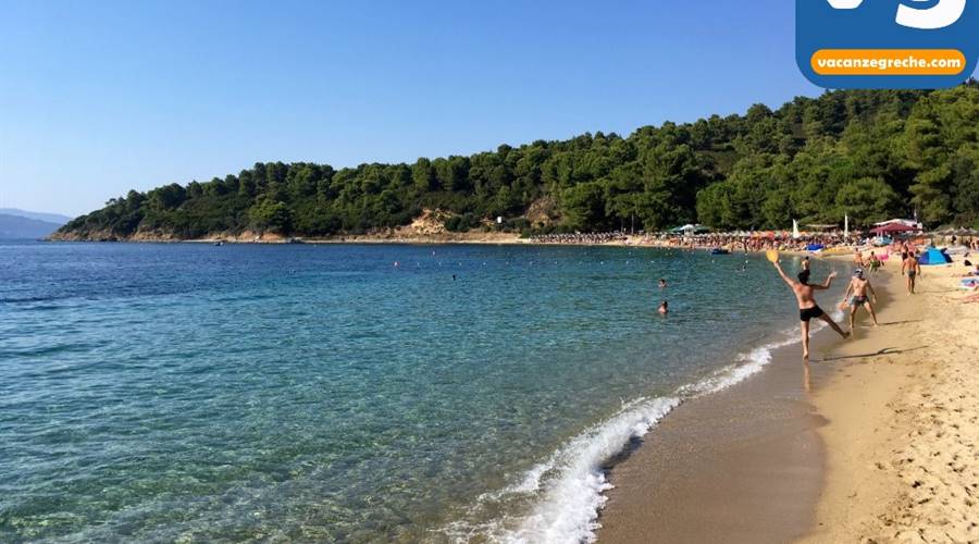 Spiaggia di Agia Eleni Skiathos