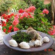 Epi-Studios-Lourdata-Cefalonia