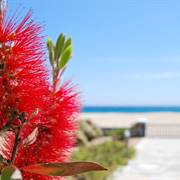 Sunrise Mykonos Agrari Beach Hotel Mykonos