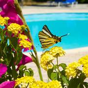 Nikos Studios & Apartments, Kefalonia