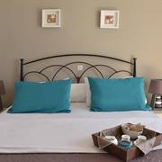 Amaryllis Beach Hotel Paros 