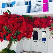 Afrodite Boutique Hotel