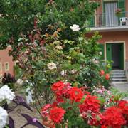 Barbayiannis Studios