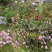 Barbayiannis Studios