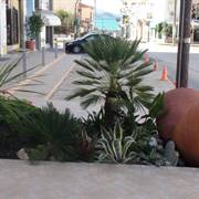 Aria Boutique Hotel Samos Town