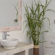 Porto Naoussa Hotel Adults Only Naousa Paros