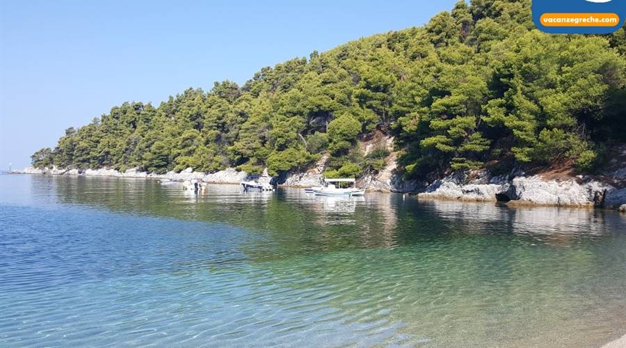 Spiaggia di Agnondas Skopelos