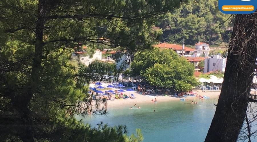 Spiaggia di Agnondas Skopelos