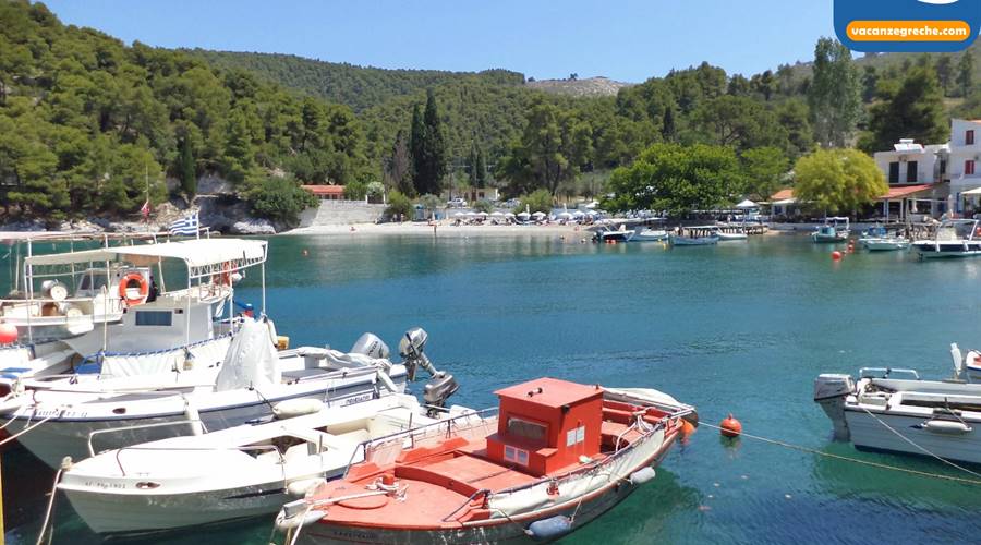 Spiaggia di Agnondas Skopelos