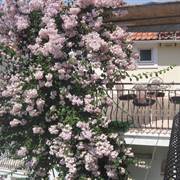 Marina Studios & Apartments Argostoli Cefalonia