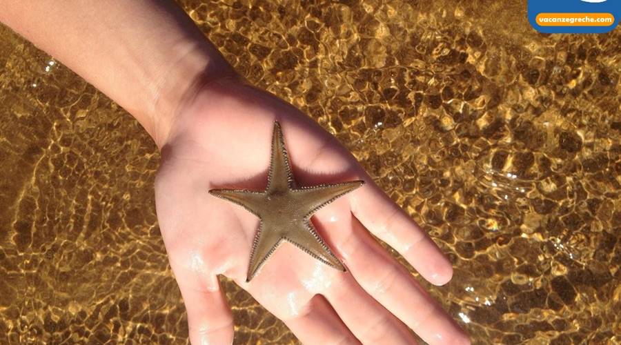 Spiaggia di Xi Cefalonia