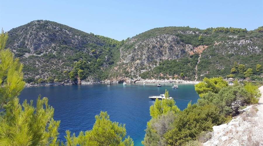 Spiaggia di Limnonari Isola di Skopelos