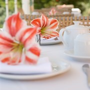 Red Tower Hotel Nikiana Lefkada