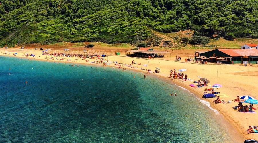 Spiaggia di Aselinos Isola di Skiathos