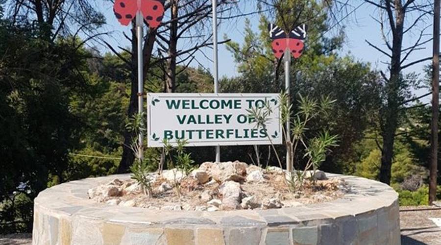 Valle delle Farfalle Isola di Rodi