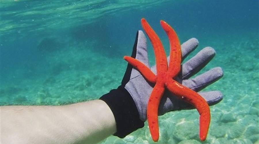 Spiaggia di Antisamos Cefalonia