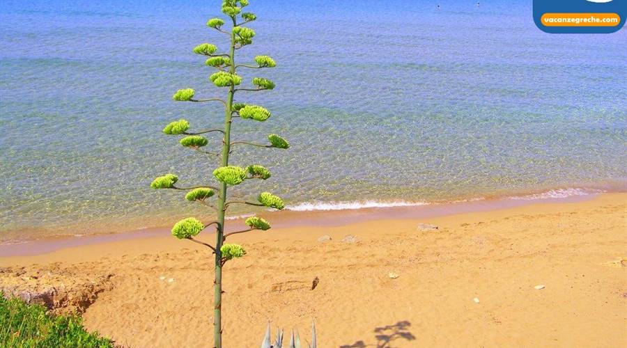 Spiaggia di Ammes Cefalonia