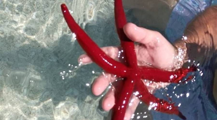 Spiaggia di Ammes Cefalonia