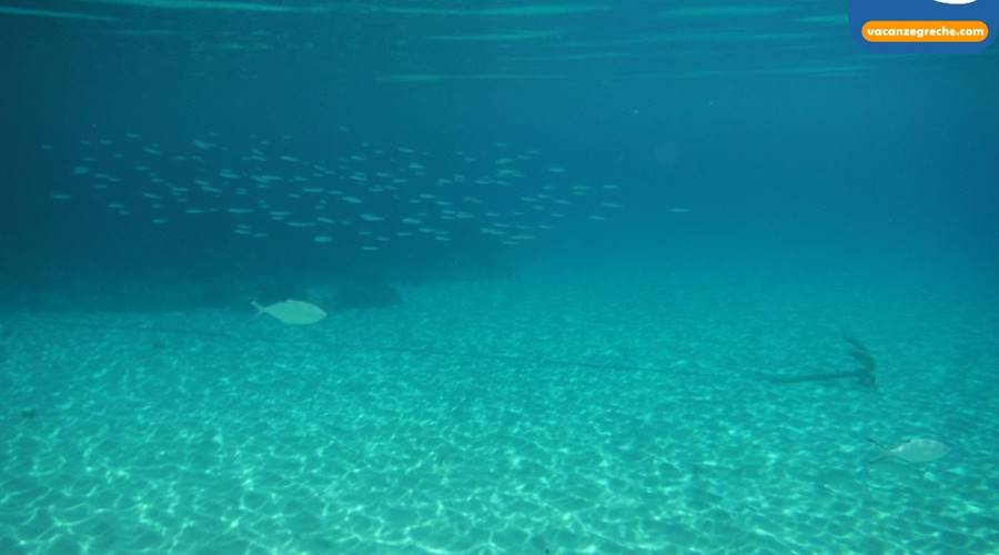 Spiaggia di Kalafatis Mykonos