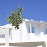 Galatis Hotel Paros