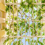 Anna Maria Village Hersonissos Creta