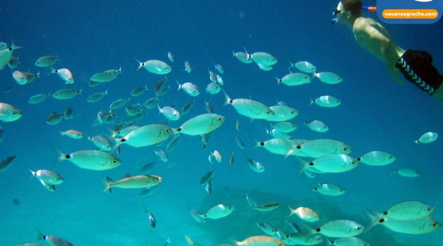 Spiaggia di Agiofilli Lefkada