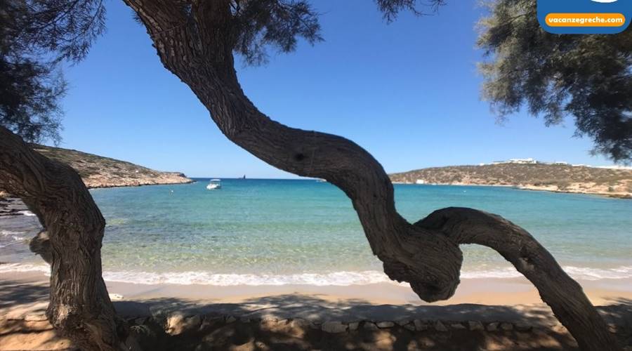 Spiaggia di Palm Beach Paros