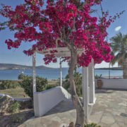 Paradiso Boutique Paros