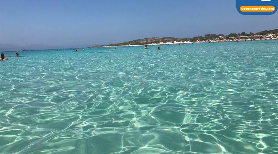 Spiagge Isola di Chrissi Creta