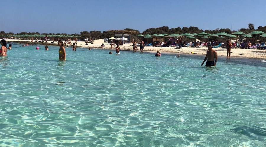 Spiagge Isola di Chrissi Creta