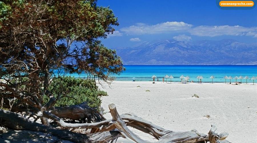 Spiagge Isola di Chrissi Creta