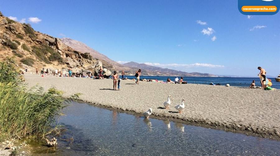 Spiaggia di Preveli Lefkogia Creta