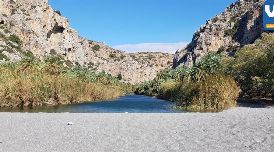 Spiaggia di Preveli Lefkogia Creta