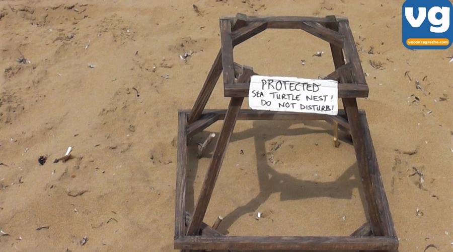 Spiaggia di Gerakas Vasilikos Zante