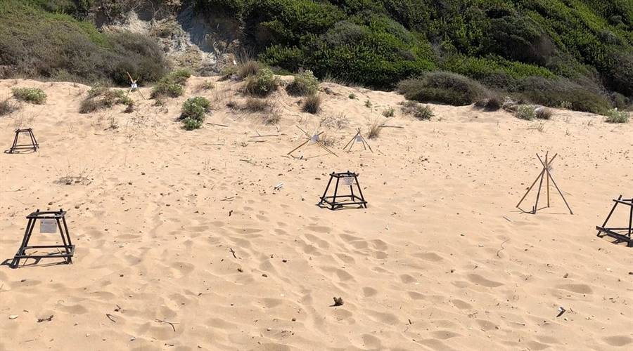 Spiaggia di Gerakas Vasilikos Zante