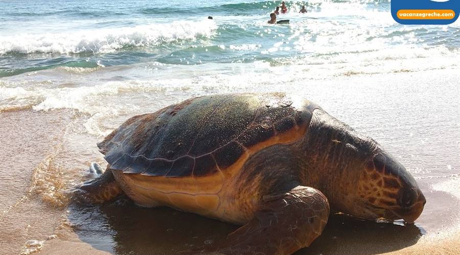 Marathias Beach Corfu